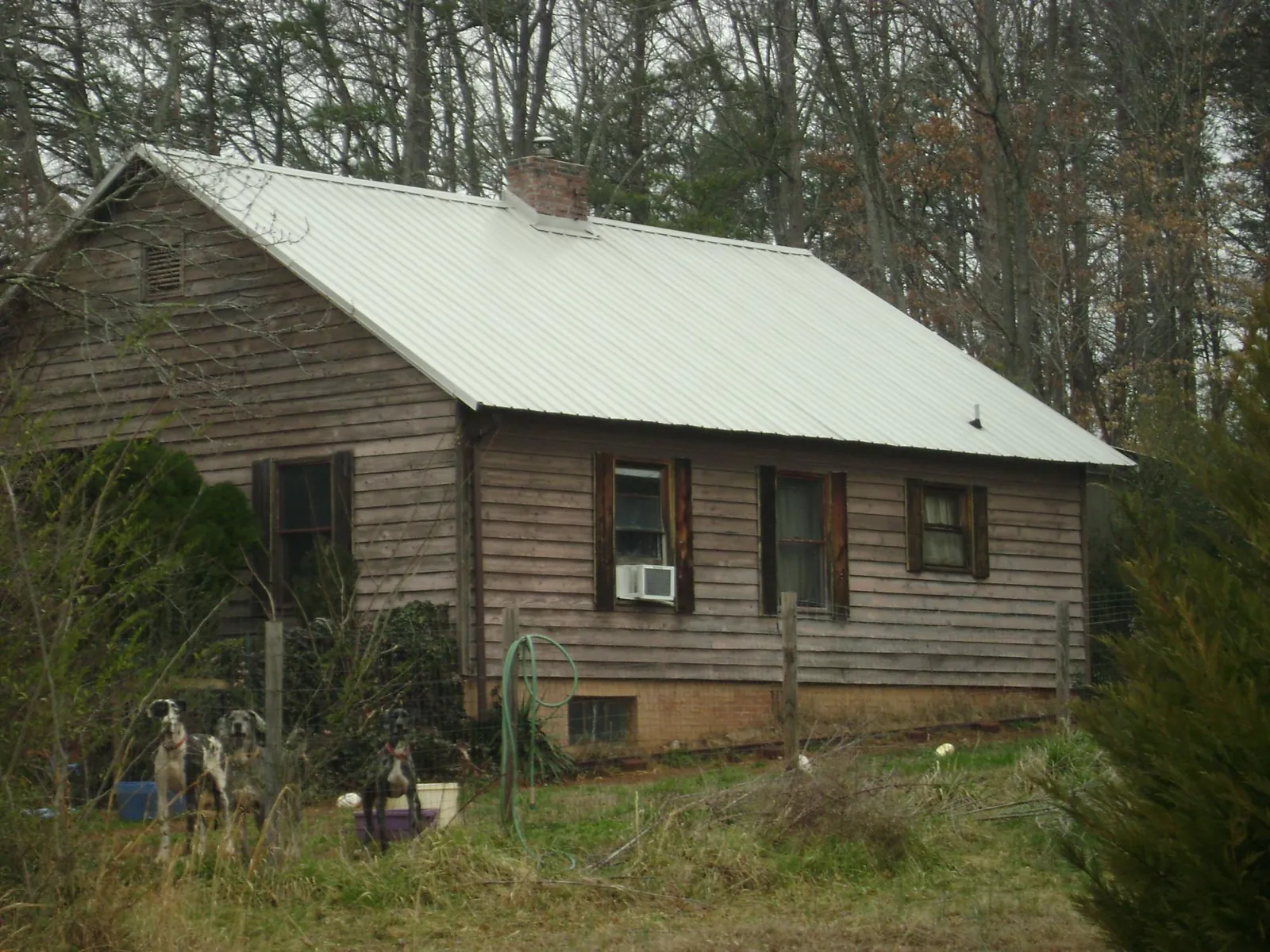 White metal roof on an old wood sided farmhouse, from a Asphalt Shingle Roof Repair job in Nichols